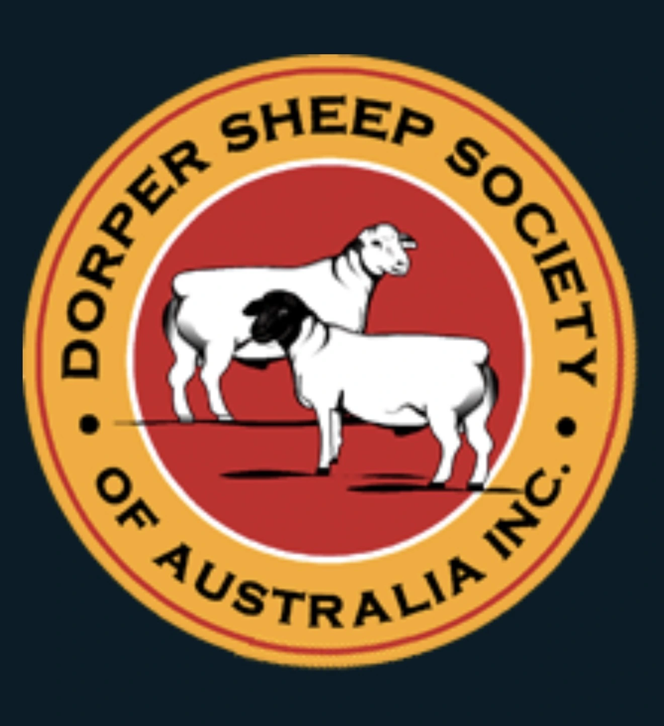 The Dorper Course training at Warialda NSW